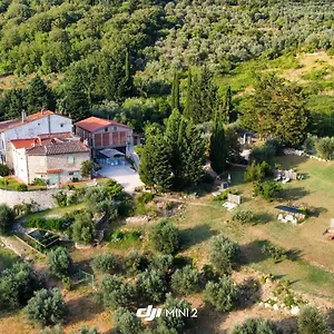  Apartment Florence Violetta Italien