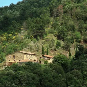 Apartment Podere Ripi Italien